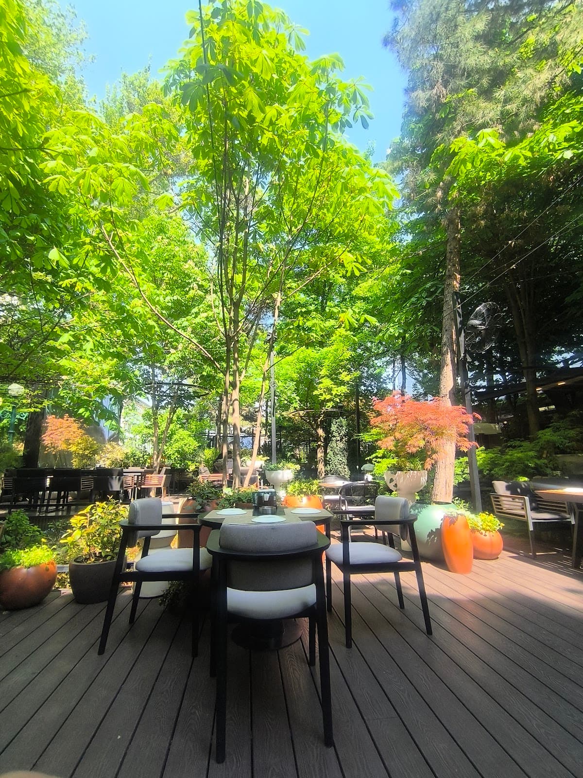 Brasserie Park